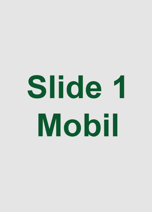 slide-mobil-01